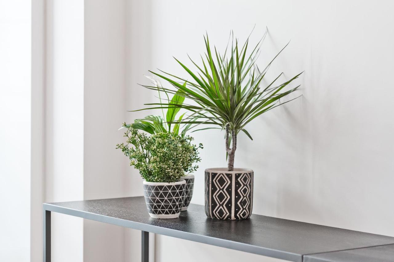 אתונה Bag- Boutique Apartment Grey - Hilton Area מראה חיצוני תמונה